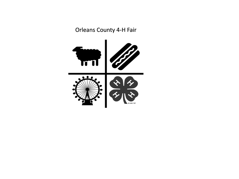 Results 2025 Orleans County 4H Fair